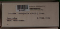 Image Associated With the Occurence